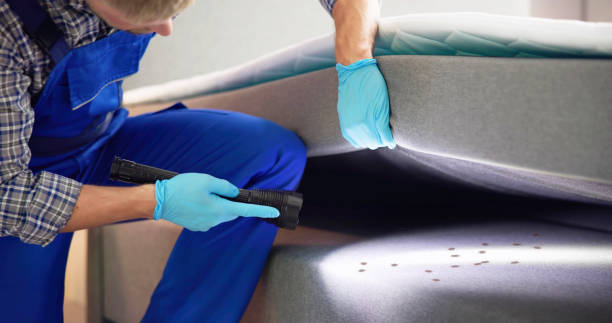 Best Pest Control Cost  in Tucumcari, NM
