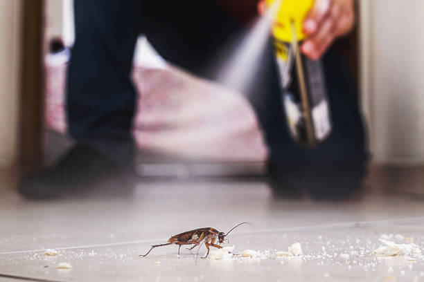 Best Exterminator Services  in Tucumcari, NM